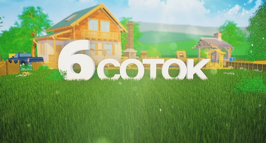 Шість соток